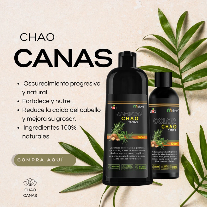 ✨SHAMPOO CHAO CANAS +TRATAMIENTO | CABELLO RENOVADO, JOVEN Y SIN CANAS✨